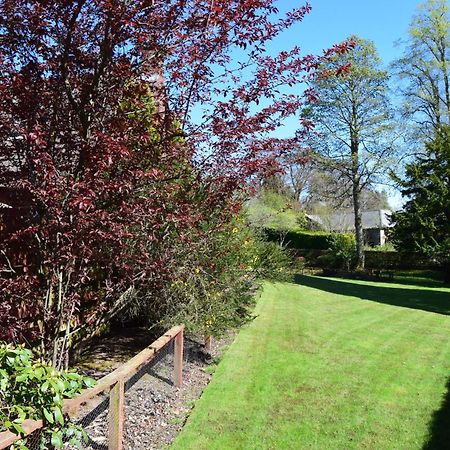 Auburn Cottage Arbroath Kültér fotó