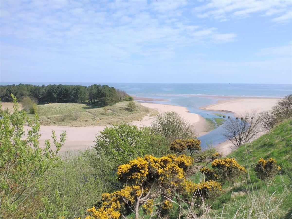 Auburn Cottage Arbroath Kültér fotó