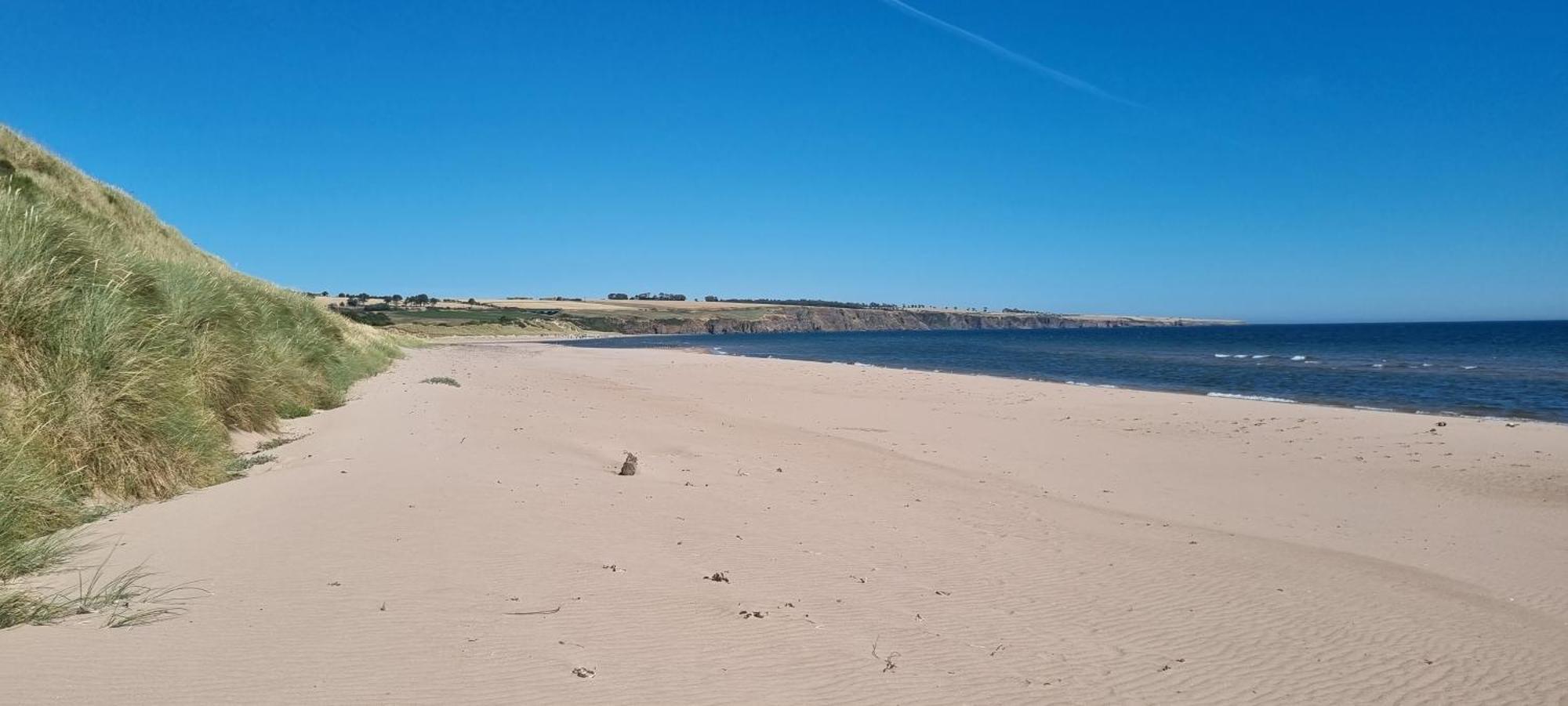 Auburn Cottage Arbroath Kültér fotó